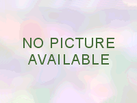 Primulina tamiana Primulina tamiana